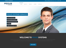 PEGUS SYSTEMS